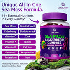 Irish Sea Moss Gummies – Bladderwrack Burdock Root Elderberry Vitamin C & Zinc – 60 Vegan Seamoss Gummy Bears for Adults Kids Men Women – Multimineral Elderberry Vitamins