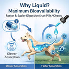 Premium Liquid Collagen for Dogs - Skin & Coat Supplement with Hyaluronic Acid & Biotin, Supports Joint Health, Mobility & Hydration for All Dogs, Bacon Flavor - 2 fl oz (1)