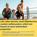 Nature Made Elderberry Gummies with Vitamin C and Zinc, Dietary Supplement for Immune Support, 100 Elderberry Gummies, 50-Day Supply