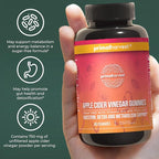 Primal Harvest 2 Pack, ACV Gummies, Sugar Free Apple Cider Gummies Beetroot and Pomegranate to Support Immunity, Digestion and Detox 750 MG (120 Count)