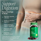 Fiber Gummies for Women - Natural GLP-1 Support with Kiwi, Pomegranate & Ginger - Sugar Free Digestive Health Supplement, Prebiotic FOS Fiber - Vegan & Gluten Free (60 Gummies - 30 Day Supply)