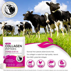 Multi Collagen Peptides Powder | Types I, II, III, V, X | 16 Oz (41 Servings) Hydrolyzed Collagen Peptides | Supports Healthy Skin, Joints, Hair, and Nails | Unflavored & Dissolves Easily