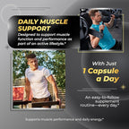 Ultra Muscle Builder Supplement with L-Arginine & Tribulus – Sports Training Support – 150 Capsules (150-Day Supply)