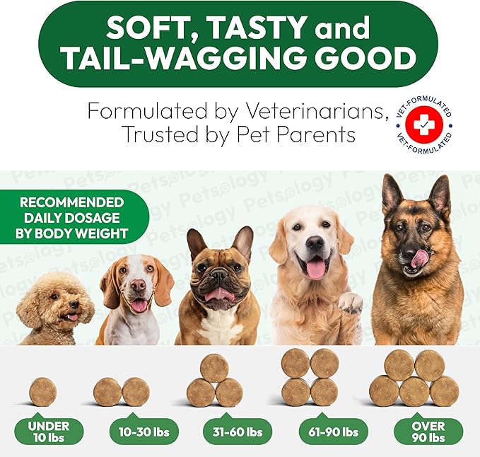 Glucosamine for Dogs - 250 Chews with Chondroitin - Hip and Joint Supplement with MSM - Turmeric - Omega 3 - Joint Pain Relief - Advanced Support for Dog Health - For Large, Medium & Small Breeds