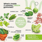 Super Greens + Super Fruits Gummies (Fruits/Greens Powder in Gummies Form) - 600mg Greens Blend + 600mg Fruits Blend for Immune Support, Sugar Free, Vegetarian, Non-GMO, 2-Pack (120 Gummies)