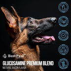 Best Paw Nutrition Liquid Glucosamine for Dogs - Glucosamine Chondroitin MSM & HA Joint Supplement for Dogs & Cats - Bacon Flavored Liquid Pump - Supports Mobility, Stiffness & Joint Comfort - 32 oz