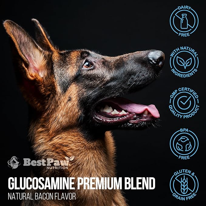 Best Paw Nutrition Liquid Glucosamine for Dogs - Glucosamine Chondroitin MSM & HA Joint Supplement for Dogs & Cats - Bacon Flavored Liquid Pump - Supports Mobility, Stiffness & Joint Comfort - 32 oz