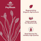 ORGANIC INDIA Whole Psyllium Husk Powder Organic - Psyllium Husk Fiber Supplement, Digestion Support, Vegan, Gluten-Free, Non-GMO, Soluble & Insoluble Fiber Source - 12 oz (Pack of 2)