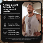 Shilajit Gummies – 20:1 Concentrate – 50% Fulvic Acid, Himalayan Sourced – Ashwagandha + Turmeric – Sugar-Free – Lab Tested