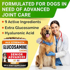 Senior Advanced Glucosamine Chondroitin Joint Supplement for Dogs - Hip & Joint Pain Relief Pills - Large & Small Breed - Hip Joint Chews Canine Joint Health - Chews Older Dogs - Bacon Flavor - 180Ct