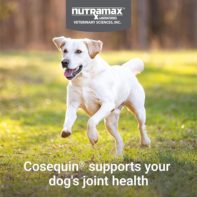 Nutramax Cosequin for Dogs Joint Health Supplement, Contains Glucosamine for Dogs, Plus Chondroitin and MSM, Supports Healthy Joints, for All Breeds and Sizes, Chewable Tablets, 132 Count (Pack of 2)