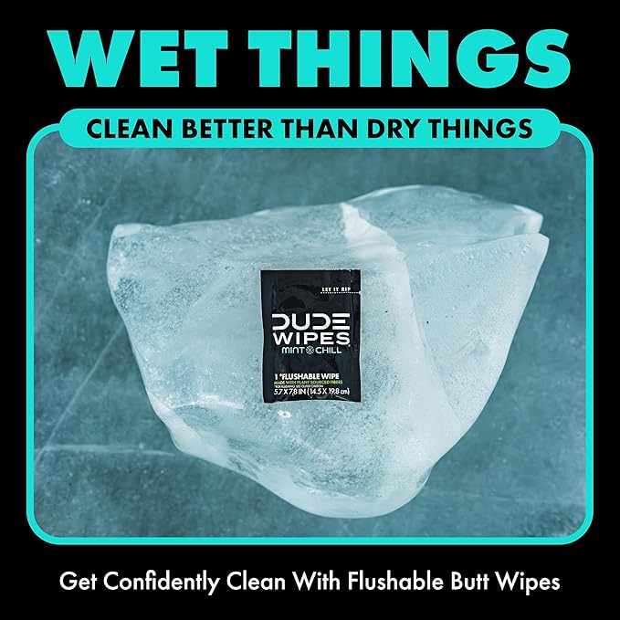 DUDE Wipes On-The-Go Mint Chill Travel Wipes - 30 Count (Individually Wrapped) - Extra-Large Adult Flushable Wipes - Infused with Tea Tree Oil, Vitamin E, and Aloe - Septic and Sewer Safe
