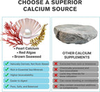 Marine Calcium Bone Density & Strength Supplement, Maximum Absorption Pearl & Icelandic Marine Algae Calcium - with Magnesium, Vitamin D3+K2, Organic 70+ Ocean Minerals for Bone Health,45 Days Supply