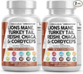 Clean Nutraceuticals Lions Mane 20in1 Mushroom Supplement with Turkey Tail Reishi Cordyceps Chaga Maitake Meshima Poria Cocos Shiitake Oyster Porcini Enoki - 2Pack