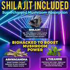 Next-Gen Mushroom Gummies with Ashwagandha and L Theanine - 10x Mushroom Supplement with Shilajit - Mushroom Nootropic Lion’s Mane Gummies - Immune, Brain Support & Chill Mushroom Complex Gummy