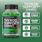 Thyroid Support For Women & Men (90 Gummies) Ashwaganda, Iodine, Bladderwrack, Kelp, & Schisandra - Support Supplement - Delicious Apple Flavor - Non-GMO, Vegan & Gluten-Free (90 Count)