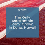 Nutrex Hawaii BioAstin Hawaiian Astaxanthin - 12mg, 50 Softgels - Farm-Direct Premium Antioxidant Supplement to Support Eye, Skin, Joint & Immune System Health - Non-GMO & Gluten-Free