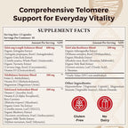 Telomere Lengthening Supplements – Organic Astragalus, Gotu Kola, Vitamin D3, Folate, L-Theanine – Anti-Aging, DNA Repair, Immune & Cellular – 60 Vegan Capsules, Made in Japan (2 Bottle)