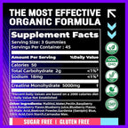 NSF Certified Creatine Gummy 5g - Creatine Monohydrate Gummies – Pre-Workout Energy & Muscle Growth Support for Men & Women | Blueberry Raspberry Electrolyte Gummies (135 Count)
