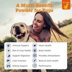 Zesty Paws 10-in-1 Dog Multivitamin - Gut, Immune, Joint, Skin & Coat Support, and More - Dog Vitamins and Supplements Powder - Pet Supplements with Omega Fish Oil & VitaFiber - Salmon - 30 Ct