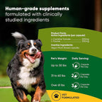 Rooted Owl Cardio Support - L-Taurine and L-Carnitine Supplement for Dogs - Cardiovascular and Heart Health Supplements for Dogs - 60/ct