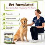 Pet Naturals Calming Chews for Medium and Large Dogs, Anxiety Relief with Gentle Ingredients for Thunder, Fireworks, Barking, Calming Dog Treats, Chicken Flavor, 30 Count