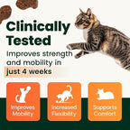 VetriScience Extra Strength Healthy Hip & Joint-Chews, GlycoFlex Glucosamine & Green-Lipped Mussel JointSupport Supplement, Promote Mobility & Soothe JointDiscomfort, Chicken,60 Count(Pack of 2)