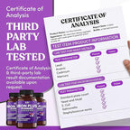 Iron Gummies Supplements for Adults (Women, Men) and Kids – Grape Flavor- Supports Anemia, Energy and Focus Levels – 200 Count