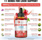 Kidney and Liver Cleanse Detox & Repair Drops - 2 Pack (60ml Each), Cranberry & Milk Thistle Supplement with Artichoke, Astragalus - Natural Herbal Support for Liver, Kidney & Urinary Tract Health