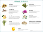 Hormone Balance for Women | Menopause and PMS Relief | Hot Flashes Menopause Relief | Vegan-Friendly