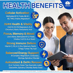 Methylated Multivitamin for Men & Women Gummies + Greens & Mushroom Blend, Methylfolate & B12, TMG, Choline, Daily Vitamin A, C, D3K2, E, B Complex, Coq10, ALA for Overall Wellness, Sugar Free, 60 Cts