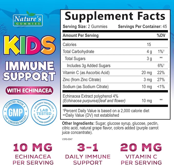Kids Immune Support Supplement Gummies - Daily Childrens Vitamins C, Zinc & Echinacea - Gummy for Kids Immune Support, Ages 4 and Up, Natural Berry Flavor, Non-GMO, Gluten-Free & Vegan - 90 Gummies