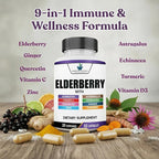 American Standard Supplements Elderberry Extract with Quercetin, Vitamin C, D3, Ginger, Zinc, Turmeric, Astragalus and Echinacea – 60 Capsules, 30 Servings