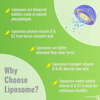 UpNourish Liposomal D3 K2 MK-7 – 365 Mini softgels with Organic Coconut Oil - 5000 IU 125 mcg Vitamin D3 and 100 mcg Vitamin k2 for Optimal Bone and Immune Health