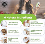 Intestinal Fortitude GLR-6 - Gut Lining Repair Supplement for Gut Health - Leaky Gut Repair with L-Glutamine, Slippery Elm, DGL Licorice Root, Marshmallow Root, Fenugreek - IBS, IBD, GERD - Vegan
