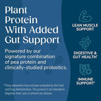 Wonderslim Protein Chips with Probiotics, Variety Pack | 12g Plant Protein, 170 Cal | High Protein Chips, Vegan, Gluten Free, Non-GMO | Made with Avocado Oil, No Seed Oils | 12 Pack