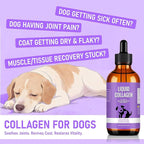 Liquid Collagen for Dogs with Premium Grass-Fed Collagen, Skin & Coat Support, Hip & Joint Mobility, Itch Relief, Digestive & Immune Health, with MSM, Biotin & Vitamin C, 4 fl oz