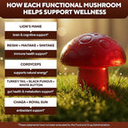 VitaUp Mushroom Supplement - USA Made 10 in 1 Mushroom Gummies - Mushroom Complex with Lions Mane, Cordyceps, Turkey Tail, Reishi, Shiitake for Cognitive & Immune Support - 60 Count
