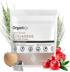 Organixx Clean Sourced Collagen Peptides Powder with Vitamin C, Types I, II, III, V, X Hydrolyzed Collagen, Hair, Nail, Skin, Bone & Joint Health, Aging Support, Gluten Free, Unflavored, 15 Servings