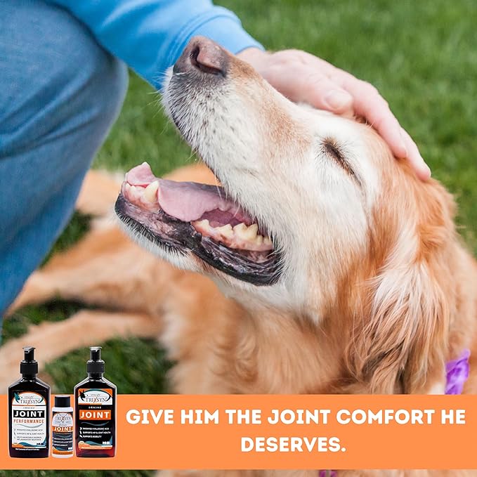 TRIXSYN Canine - Dog Hip and Joint Supplement - Liquid Hyaluronic Acid HA for Dog - Patented Liquid Formula for Senior Dogs - MHB3 Hylauronan - 6 fl oz (3)