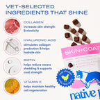 Native Pet Skin & Coat Chews - Omega 3 Fish Oil for Dogs Skin & Coat Supplement - Itch Relief, Shiny Fur & Shedding Support - Collagen, Hyaluronic Acid, Biotin, Probiotics & Salmon Oil - 60 Chews