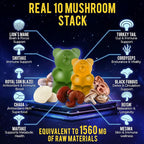 Next-Gen Mushroom Gummies with Ashwagandha and L Theanine - 10x Mushroom Supplement with Shilajit - Mushroom Nootropic Lion’s Mane Gummies - Immune, Brain Support & Chill Mushroom Complex Gummy
