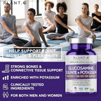 PLANT.O NUTRITION Glucosamine Sulfate with Potassium | Strong Joint Support Supplement | Supports Cartilage and Connective Tissues | Aids Knee and Bone Structure | 120 Tablets
