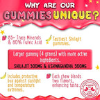 OH MY CHEWY Pure Himalayan Shilajit Gummies - High Potency Gold Grade Resin - Energy Boost and Immune Support for Men and Women with Ashwagandha and Shatavari - 120 Gummy - Strawberry & Banana