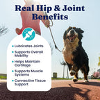 Solid Gold Hip and Joint Supplement for Dogs - Glucosamine Chondroitin MSM for Hip & Joint Pain Relief for Dogs - Puppy, Adult & Senior Dog Supplements for Dog Arthritis Pain Relief & Mobility - 120ct