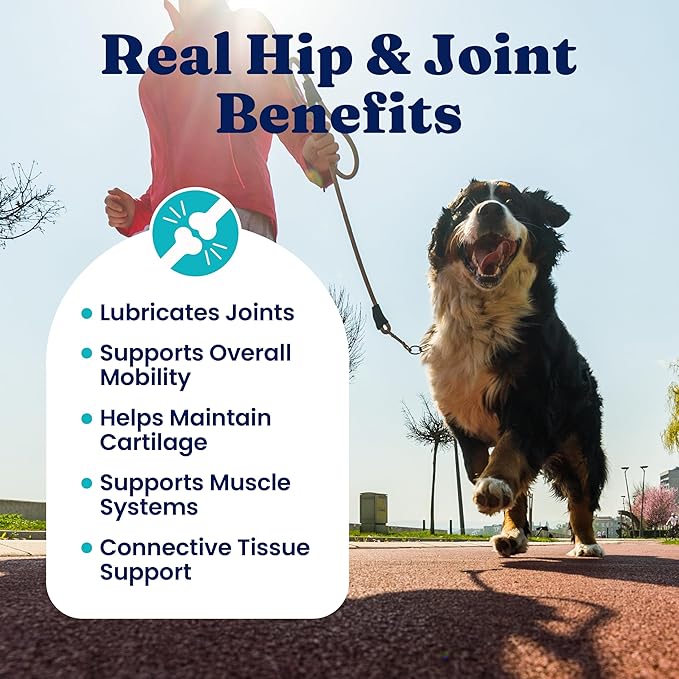 Solid Gold Hip and Joint Supplement for Dogs - Glucosamine Chondroitin MSM for Hip & Joint Pain Relief for Dogs - Puppy, Adult & Senior Dog Supplements for Dog Arthritis Pain Relief & Mobility - 120ct