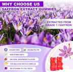 Saffron Gummies, 10-in-1 Saffron Supplements for Kids & Adults with 88.5mg Saffron Extract, for Emotions, Zzz, Sugar Free, Raspberry Flavor, 60 Count