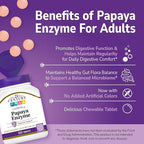 21st Century Papaya Enzyme Chewable (100 Count), Papaya & Pineapple Digestive Enzymes for Gut Health, Tropical Flavor, Non-GMO, Gluten-Free, No Added Salt, Artificial Flavors