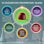 aSquared Nutrition Mushroom Gummies - 10x Complex Supplement - Lions Mane, Turkey Tail, Reishi, Cordyceps, Chaga - Energy, Focus, Immune Support for Men & Women - Replace Powder, Capsules & Pills