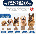 Anal Gland Support Chews for Dogs - 170 Ct - Scoot Treatment - Dog Anal Gland Supplement - Pumpkin, Psyllium Husk, Fiber - Supports Gut Health & Stool Quality - Digestive Enzymes - Made in USA